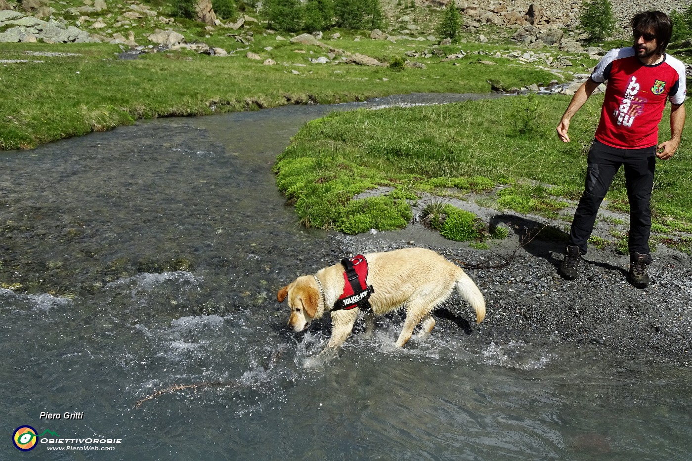 88 Recupera in acqua quanto si getta.JPG